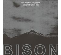 Bison - You Are Not The Ocean You'Re The Patient