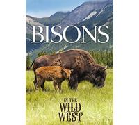 Bisons In The Wild West