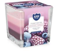 Bispol® - Candela Profumata Tricolore Frozen Berries