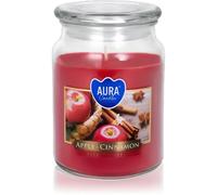 BISPOL Premium Line Apple - Cinnamon candela profumata 500 ml