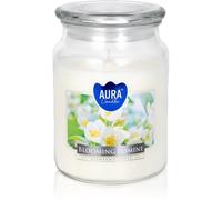 BISPOL Premium Line Jasmine candela profumata 500 g