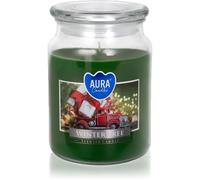 BISPOL Premium Line Winter Tree candela profumata 500 g