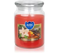 BISPOL Vanilla & Amber candela profumata 500 ml