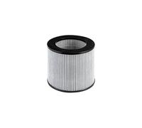 Bissell Replacement High Efficiency and Carbon Filter for The MyAir Personal Air Purifier, 2801