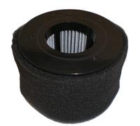 Bissell54A2PowerEdge Replacement Vacuum Filter-POWER EDGE VACUUM FILTER
