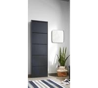 Bissolo Casa Scarpiera Salvaspazio a 5 Ante Ribaltabili - Mobile Portascarpe in Metallo Nero, Design Moderno e Compatto (CM 50X15 h172)