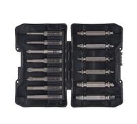 Bit trapano per estrattore a vite Impostare 14 pezzi Kit di rimozione a vite a vite a doppia testa ad alto contenuto di carbonio per lavori di riparazione e manutenzione