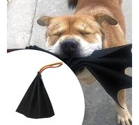 Bite Rag per l'addestramento del cane Gioco interattivo per l'addestramento