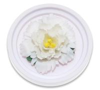 BITEYI Diffusore di Oli Essenziali,Fiori di Ceramica Diffusore di Aromi,Aromatherapy Diffuser per Scrivania,Camerino,Camere da letto (Bianco)