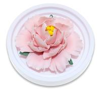 BITEYI Diffusore di Oli Essenziali,Fiori di Ceramica Diffusore di Aromi,Aromatherapy Diffuser per Scrivania,Camerino,Camere da letto (Rosa)