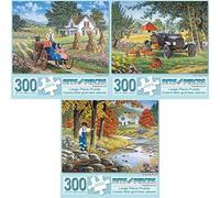 Bits and Pieces Set di Tre (3) 300 Piece Jigsaw Puzzles per Gli Adulti Un Coppia Perfetta, Scegliere Il Proprio, Stepping Stones 300 Puzzle PC Artista John Sloane
