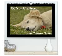 Bitte nicht stören... hier träumen Tiere (hochwertiger Premium Wandkalender 2026 DIN A2 quer), Kunstdruck in Hochglanz: Der entspannende Tierkalender