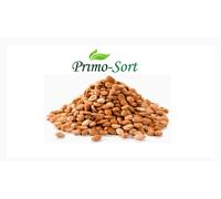 Bitter Albicocca Chicchi 100g-900g Prezzo Basso Grande Qualità