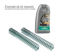 BITUBO Fork Spring Kit + Motorex Fork Oil Suzuki Yamaha x-Max