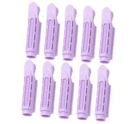 BIUDECO Mollette Volumizzanti per Chioma 10 Pezzi in Abs per Onde Voluminose e Ciuffi Soffici per Uso Domestico e Viaggi Porpora