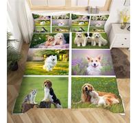 BJCJGGL Copripiumino Singolo Bambino 135x200 Cane Carino Set di Biancheria da Letto con Cerniera Nascosta Microfibra de Morbido e Traspirante Set Copripiumini e 2 Federe 50x80 cm