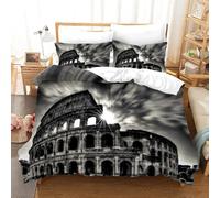 BJCJGGL Copripiumino una Piazza e Mezza 200x200 Adolescente Architettura Romana Grigia Set di Biancheria da Letto Cerniera Nascosta Morbido Traspirante Microfibra Set Copripiumini e 2 Federe 50x80 cm