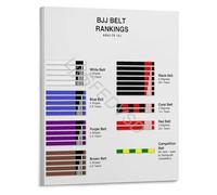 BJJ Belt Order Rank Progression Color Chart Educational Poster Brazilian Jiu-Jitsu Grappling Wall Art for Dojo Gym Home(Framed,16x24inch(40x60cm))