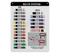 BJJ Belt Progression Chart Jiu Jitsu Rankings System Guide Metal Tin Sign for Training Facility Dojo Wall Decor Martial Arts 8 X 12 inch