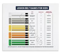 BJJ Belt Progression Infographic Reference Chart Brazilian Jiu-Jitsu Educational Training Aid Poster for Academy Home Office(Unframed,16x24inch(40x60cm))