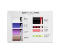 BJJ Belt System Guide Poster - Jiu Jitsu Ranking Chart from White Blue Purple Brown to Black Belt Decor(Framed,16x24inch(40x60cm))