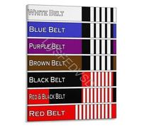 BJJ Belt System Rank Progression Reference Poster Brazilian Jiu-Jitsu Educational Wall Art for Training Academy Home Gym Decor(Framed,12x18inch(30x45cm))