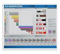 BJJ Rank Poster Belt Color Progression Wall Art