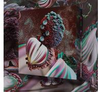 Björk – Fossora – Vinile 2LP turchese – Edizione limitata – Ristampa 2023