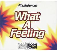 Björn Again - (Flashdance) what a feeling (3 versions)/Is it right? (1993)