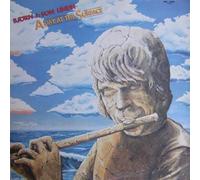 Björn Jayson Lindh - A Day at the Surface [Vinyl LP] [Schallplatte]