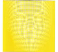 Bjork - Alarm Call, Vol. 2