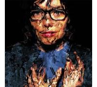 Bjork - Selmasongs