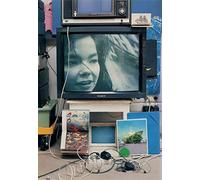 Bjork - Vessel