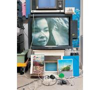 Bjork - Vessel