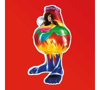 Björk Volta (CD) Album