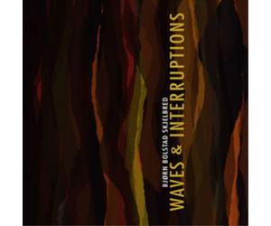 Bjorn Bolstad Skjelbred: Waves & Interruptions (Blu-ray)