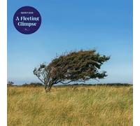 Bjorn Riis A Fleeting Glimpse (CD) Album