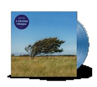 Bjorn Riis A Fleeting Glimpse (Vinyl LP) 12" Album Coloured Vinyl