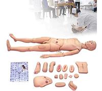 BJYX Manichino anatomico Modello Umano, Grandezza Naturale Maschio e Femmina manichino Infermieristico manichino Umano Medico per Infermieristica Formazione e Istruzione Materiale didattico