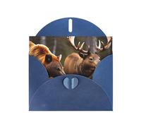 BKDODKS Set di biglietti di auguri con stampa di animali selvatici con cervo e orso, 10 x 15 cm, biglietti di ringraziamento versatili per Natale e compleanno