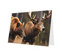 BKDODKS Set di biglietti di auguri con stampa di animali selvatici con cervo e orso, 10 x 15 cm, biglietti di ringraziamento versatili per Natale e compleanno