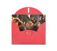 BKDODKS Set di biglietti di auguri con stampa di animali selvatici con cervo e orso, 10 x 15 cm, biglietti di ringraziamento versatili per Natale e compleanno