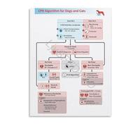 BKGWCSOR Small Animal CPR Algorithm Poster Veterinary Emergency First Aid Guide Resuscitation Reference Chart for Hospital Clinic Office 8 X 12 in