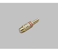BKL ELECTRONIC 0101106 Cinch/RCA femmina, diritto Numero di poli (num): 2 mono rosso 1 pc(s)