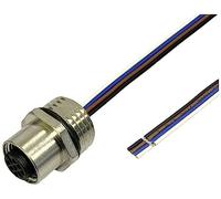 BKL Electronic 2703010 Sensore/attuatore presa da incasso M12, 0,5 m, numero di poli: 4 1 pz.