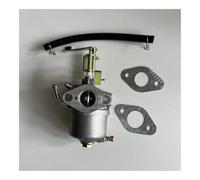 BKRZRN Carburatore Carb con Guarnizione del Tubo dell'olio Adatto for Pompa Pacific HydroStar 79CC 69747 99CC 68328 98013 da 1,5 Pollici 2,5 CV