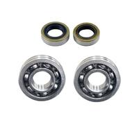 BKRZRN Kit di Montaggio guarnizioni Biella Albero Motore, Cuscinetti, paraoli Adatto for Sega da Taglio for Cemento TS420 TS410(Bearings)