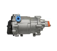 BKZHUICZ Compressore del condizionatore d'aria compatibile for accessori for veicoli energetici Auto Camion Autobus Barca Aspligo 12v