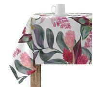 BL BELUM | Tovaglia grande organica in cotone 100% resistente alle macchie per tavolo rettangolare (100 x 250) XL