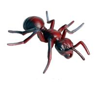 Blablablalu Formie in plastica, Figurine Animali realistiche, Ciclo di Crescita delle formiche False, Progetto scientifico Giocattoli educativi precoci plastica